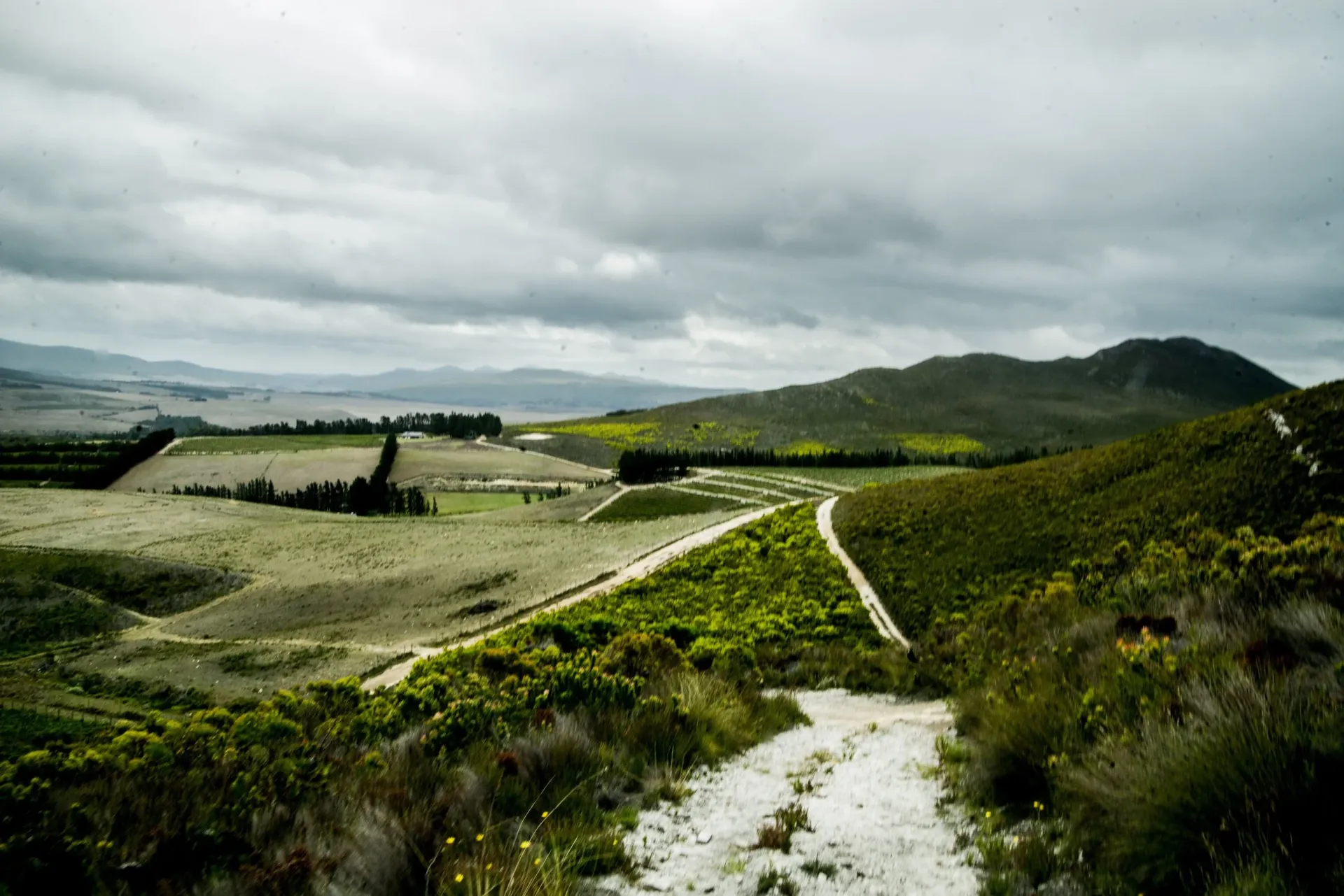 Wines of South Africa with Hermanuspietersfontein Wines