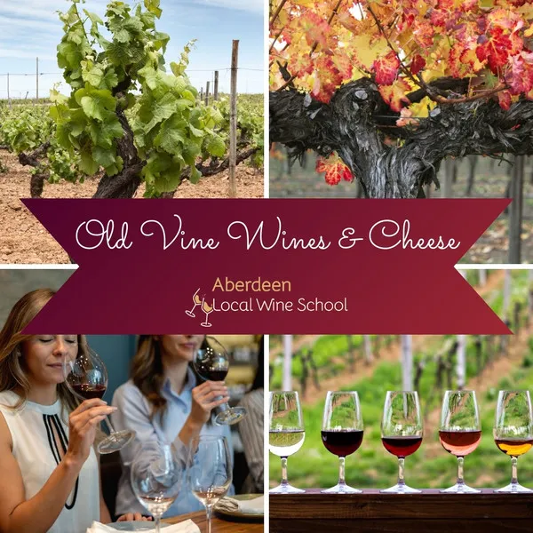 Old Vine Italian Wines & Cheese
