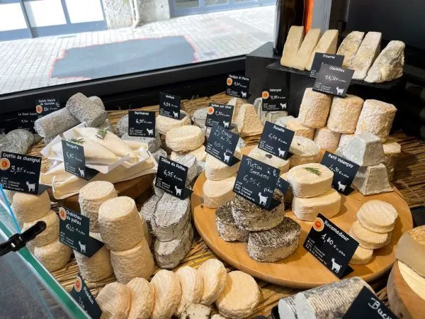 French Wine and Cheese Pairing
