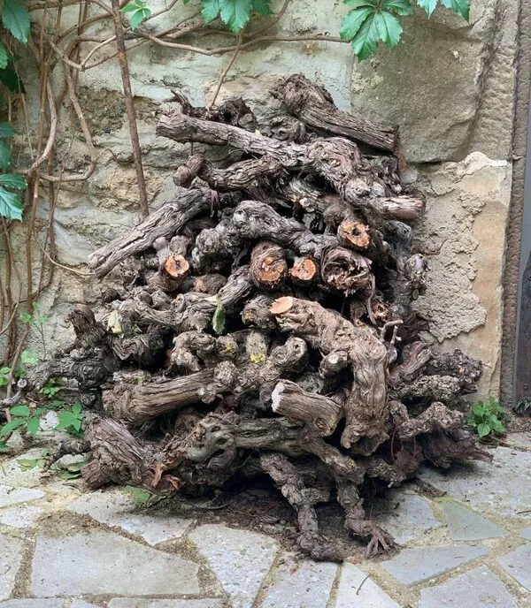 Italian Old Vine Masterclass