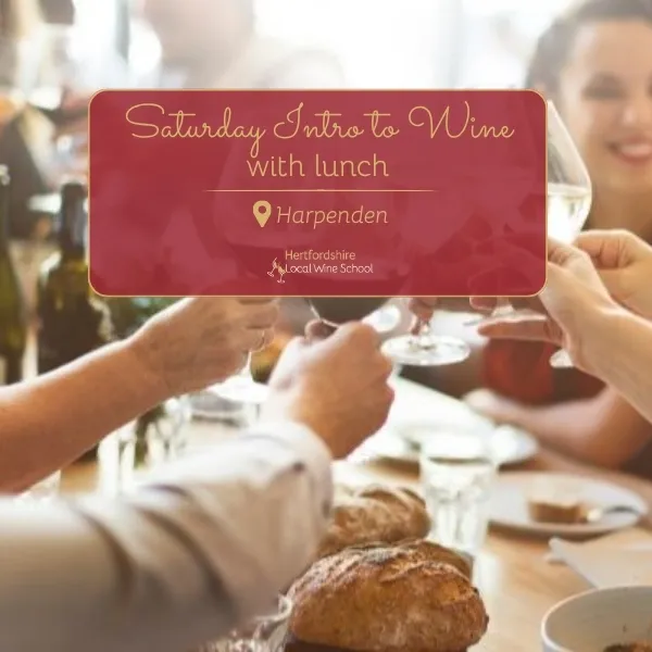 Saturday Introduction to Wine with Lunch