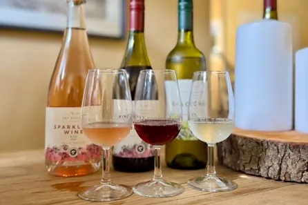 Wine Tasting Experience for Two with Two Beacons Vineyard