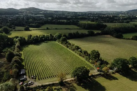Two Beacons Vineyard Tour and Tasting for Two