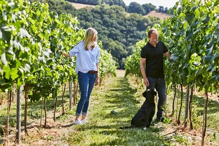 Swanaford Wine Tasting and Vineyard Tour For Two