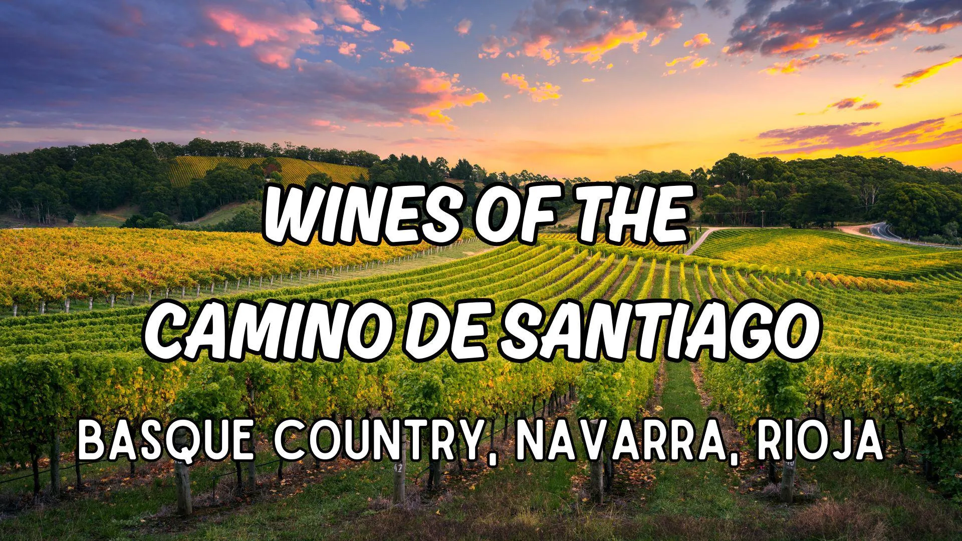 Wines of the Camino de Santiago - Basque Country, Navarra, Rioja