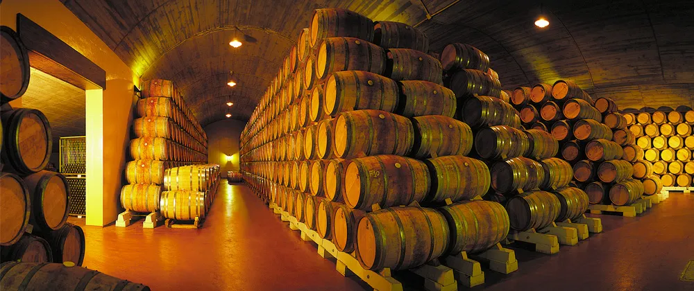 Luis Cañas: Old Vines, Modern Rioja