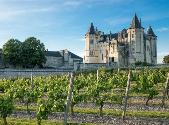 3-week Wonderful World of Wine Course: Europe