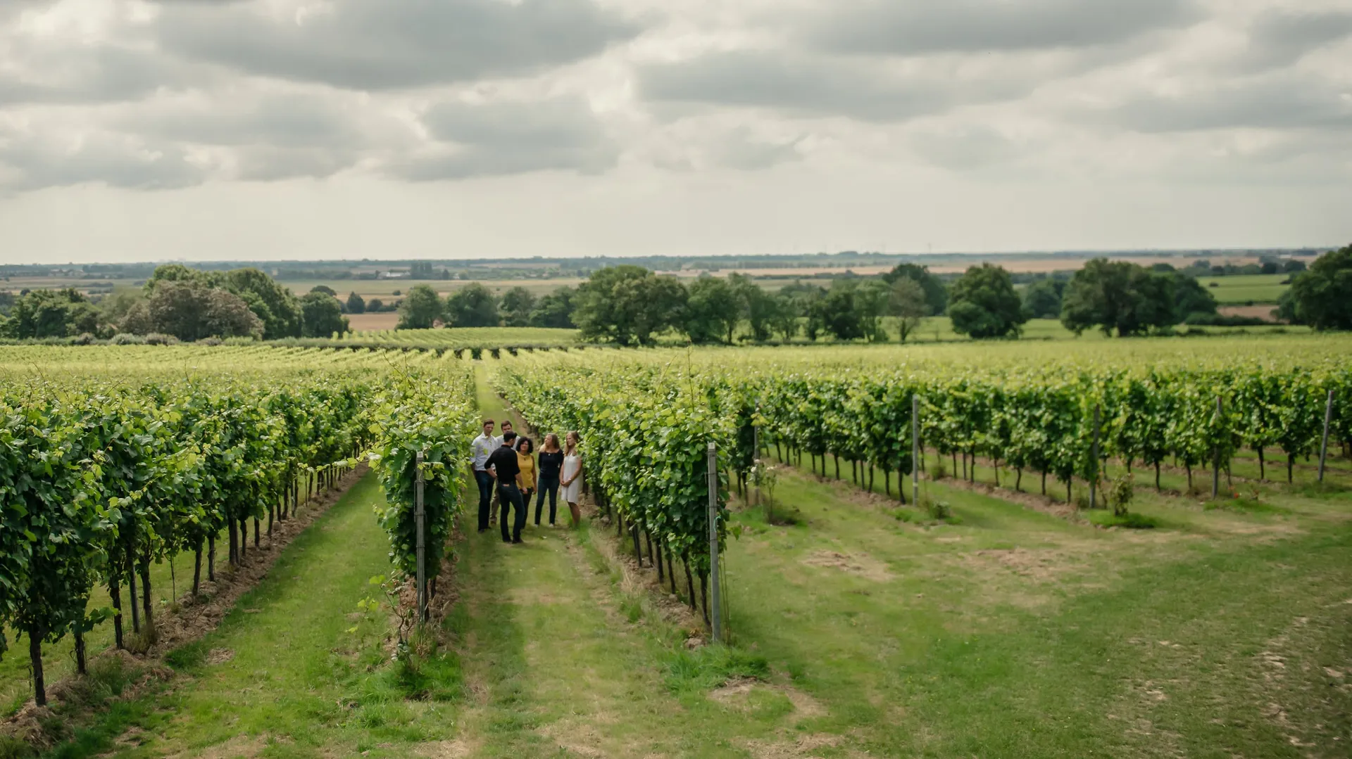 Gusbourne's Autumn Celebration Tasting at Glaziers Hall, London 2026