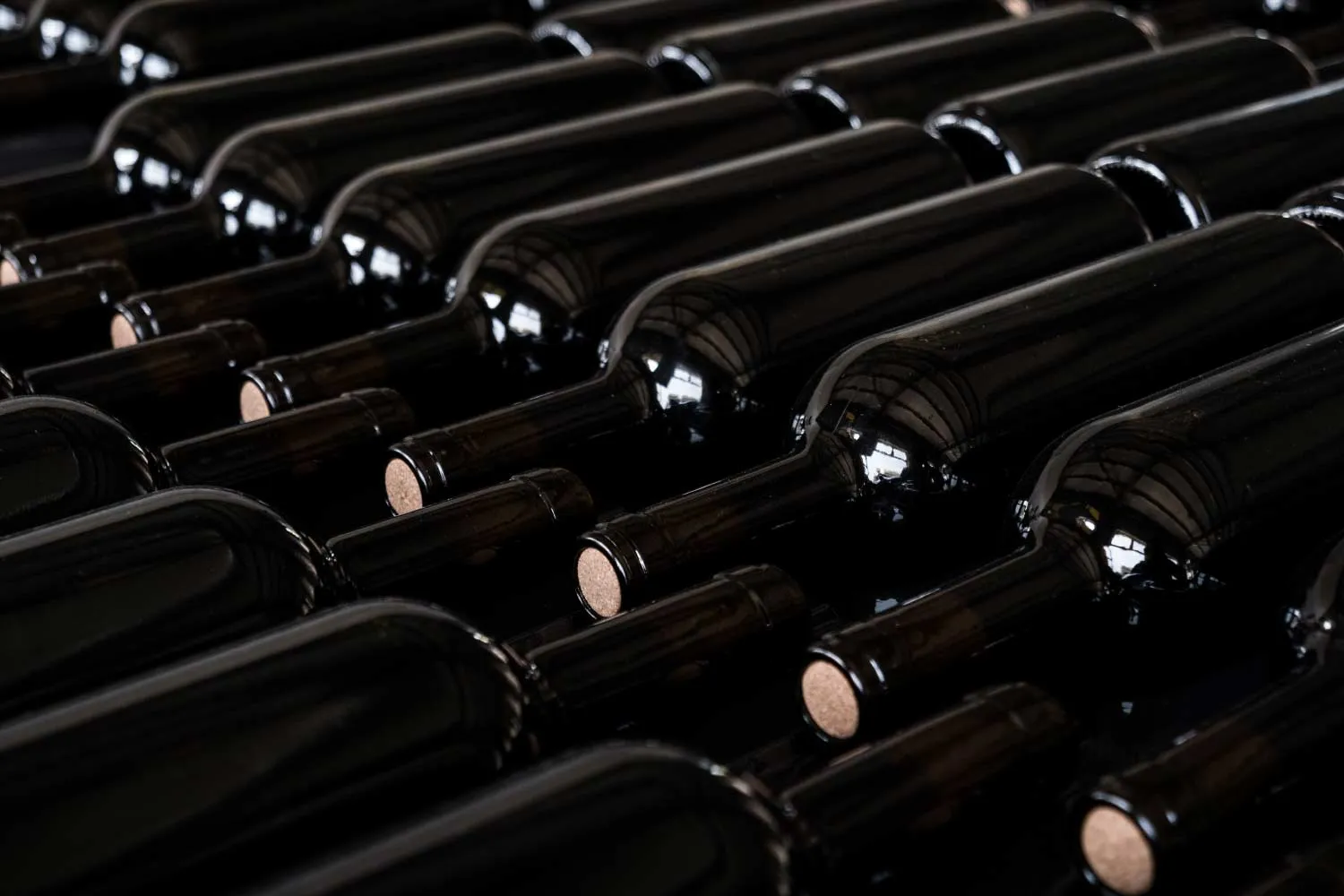 Members Favourite Wines
