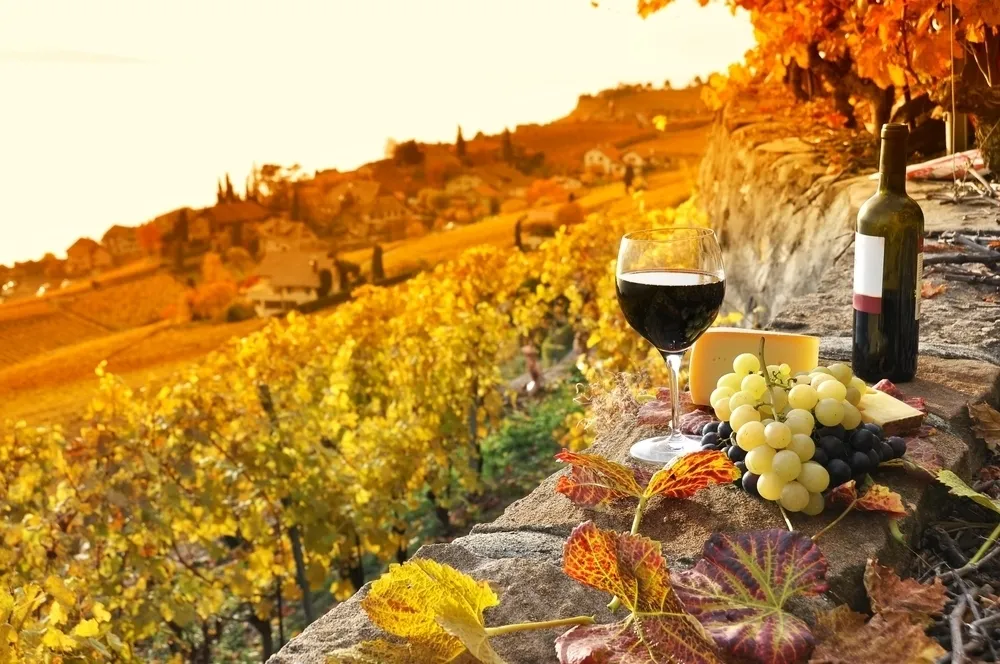 James Long, Corney & Barrow – Transitional wines from summer to autumn