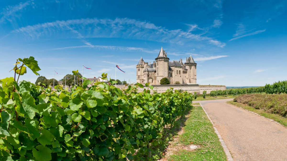 Members evening with John Clark – Classic wines from the Loire