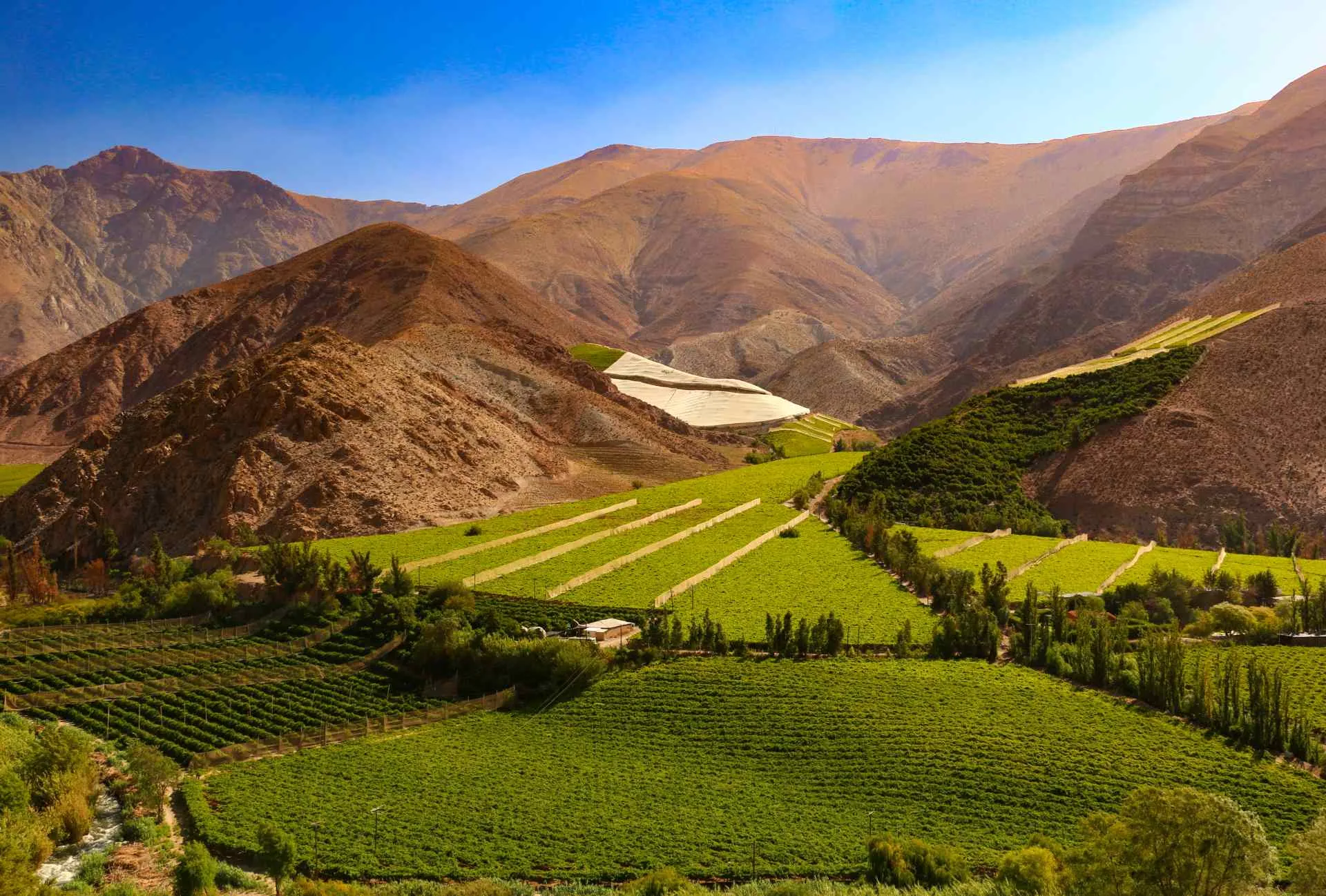 Michael Hayton, Yorkshire Vintners – South American Wines