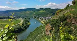 Paul Tate-Smith, Derventio Wines – AGM followed by Wines of Austria and Germany
