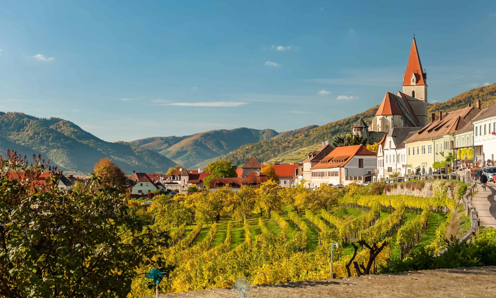 Alex Edwards, York Wines – Wines of Austria