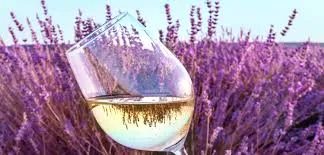 Members’ Spring Tasting 2