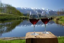 Preet Sahota, Edgmond Wines – Wines of South Africa and New Zealand