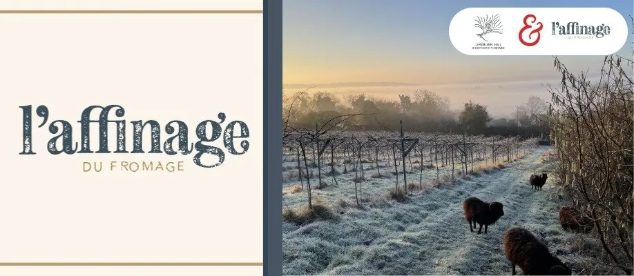 Pour - 'Limeburn Biodynamic Vinyard’ | 5th November