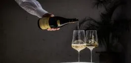 Burgundy 2025 En Primeur Tasting London - Trade & Press