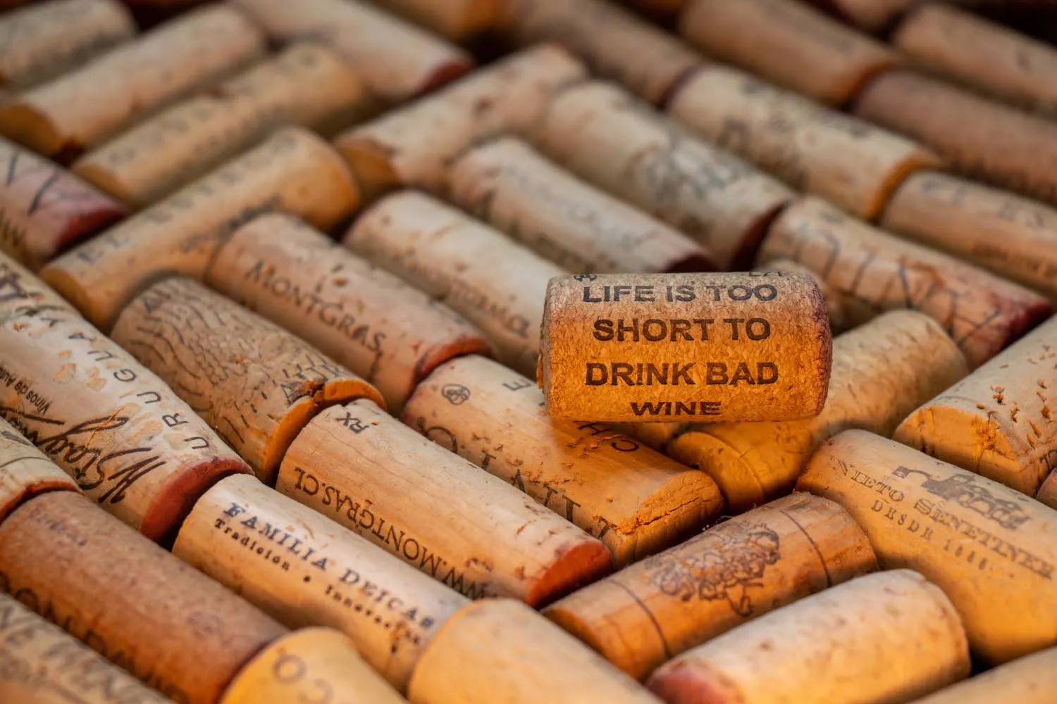 MARK CHAPMAN – CONCEPT FINE WINES