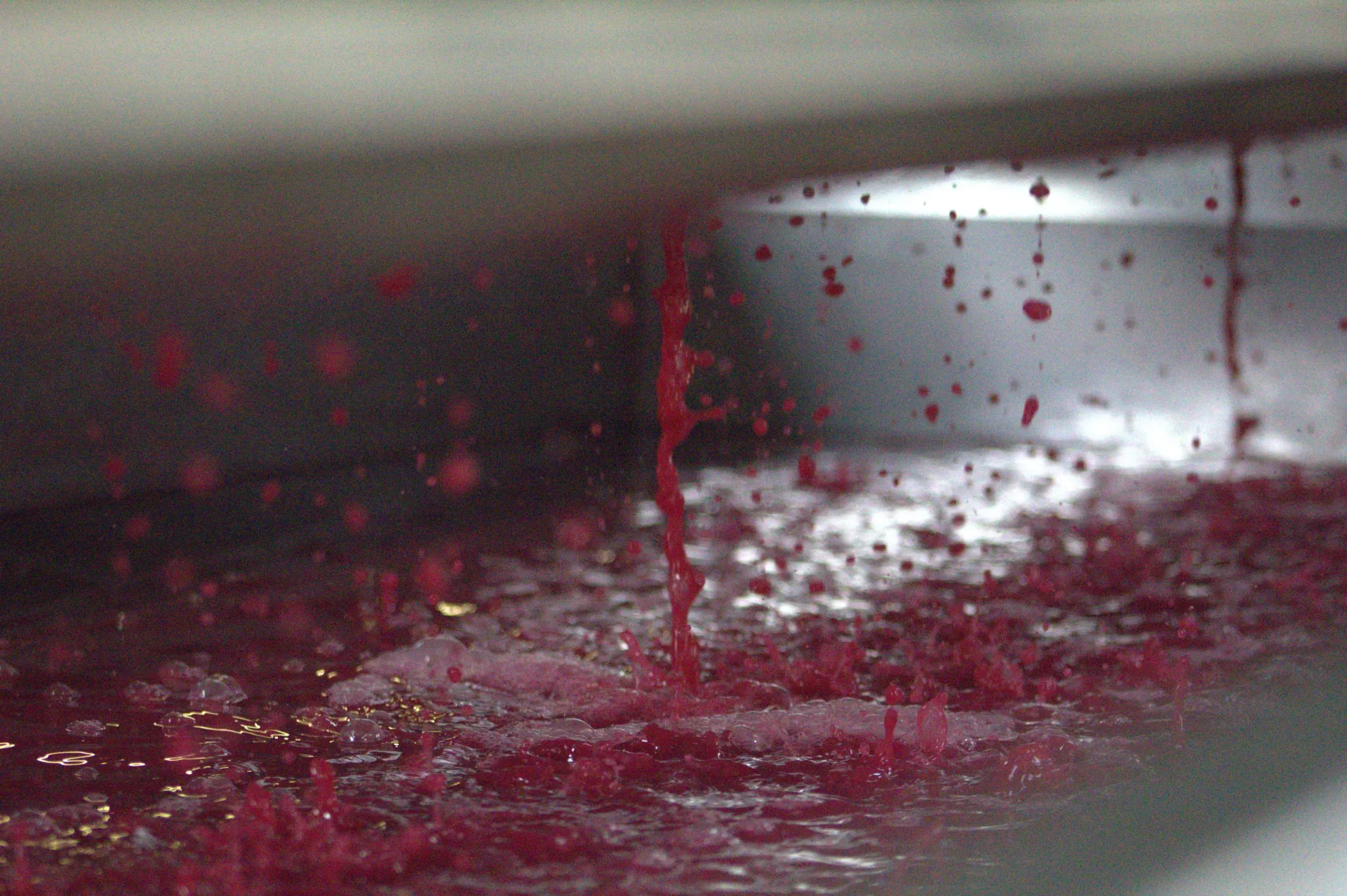 Behind the Scenes – Winery Harvest Tour