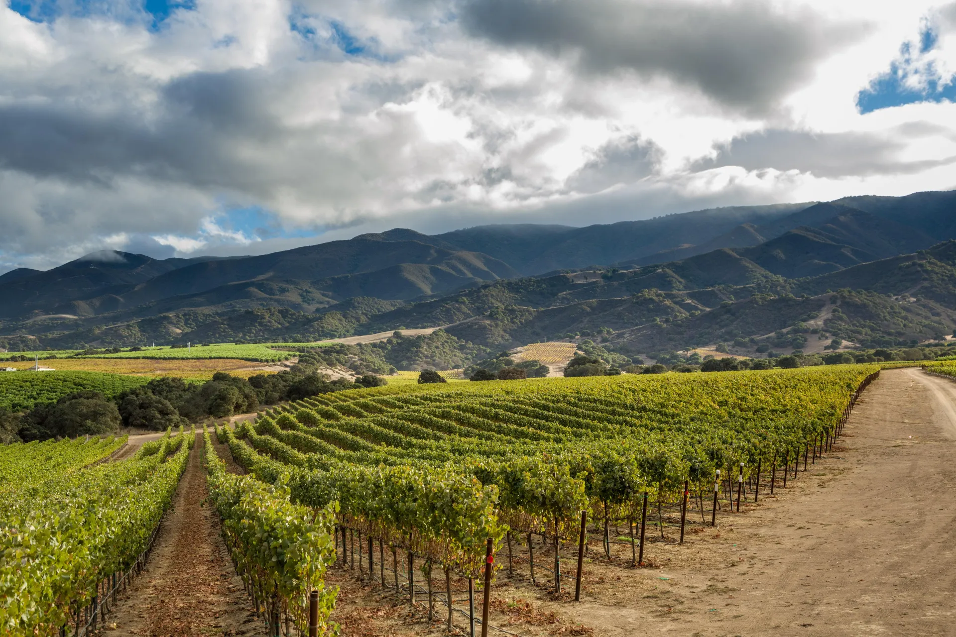Pan-American Wine Tasting