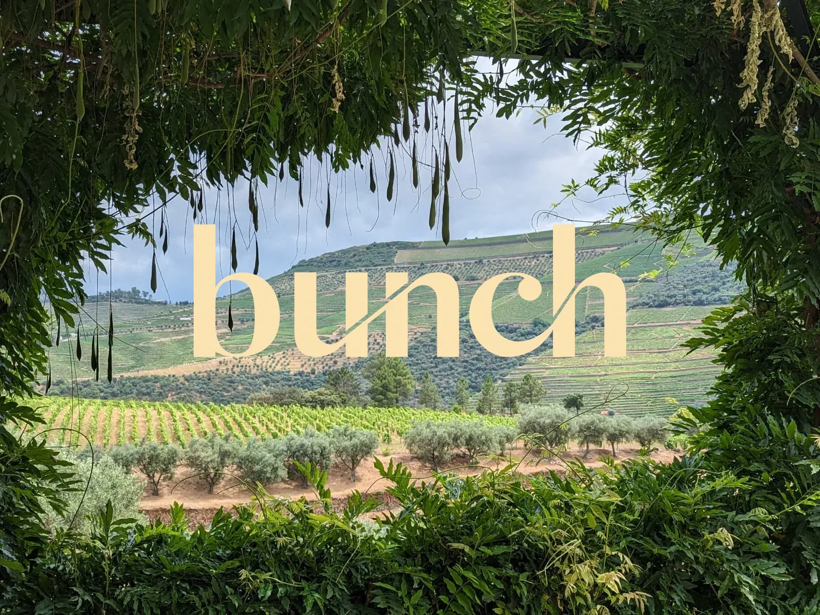 Bunch Launch Party