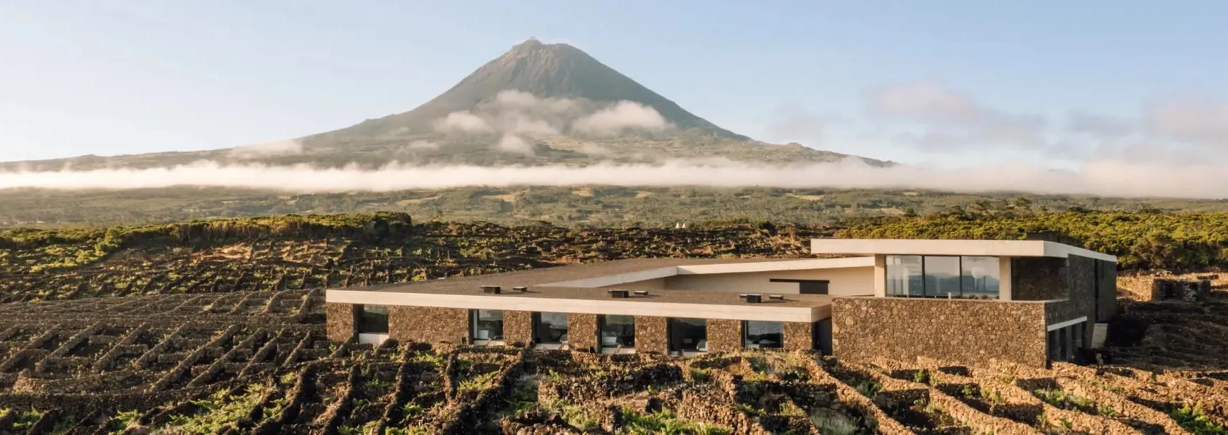 Azores Uncovered: An Exclusive Food & Wine Experience | Amathus x Brasseria
