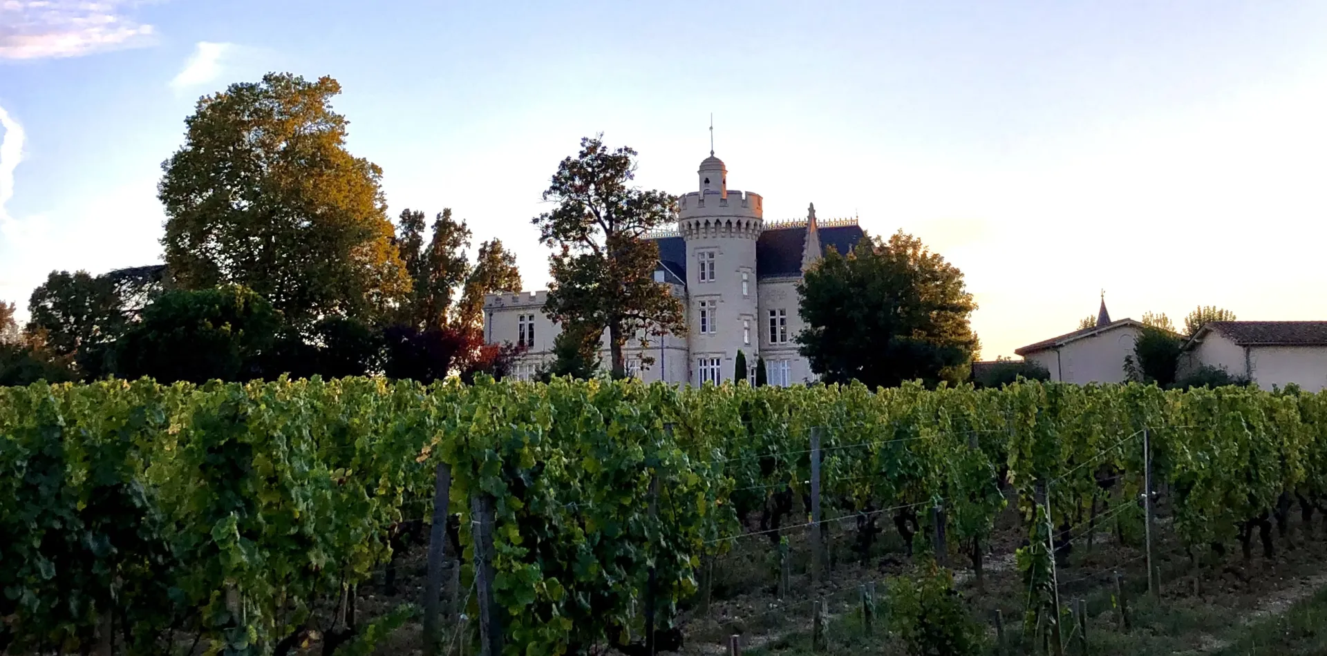 Bordeaux Wines and English Cheese with Cheese at Turnpins