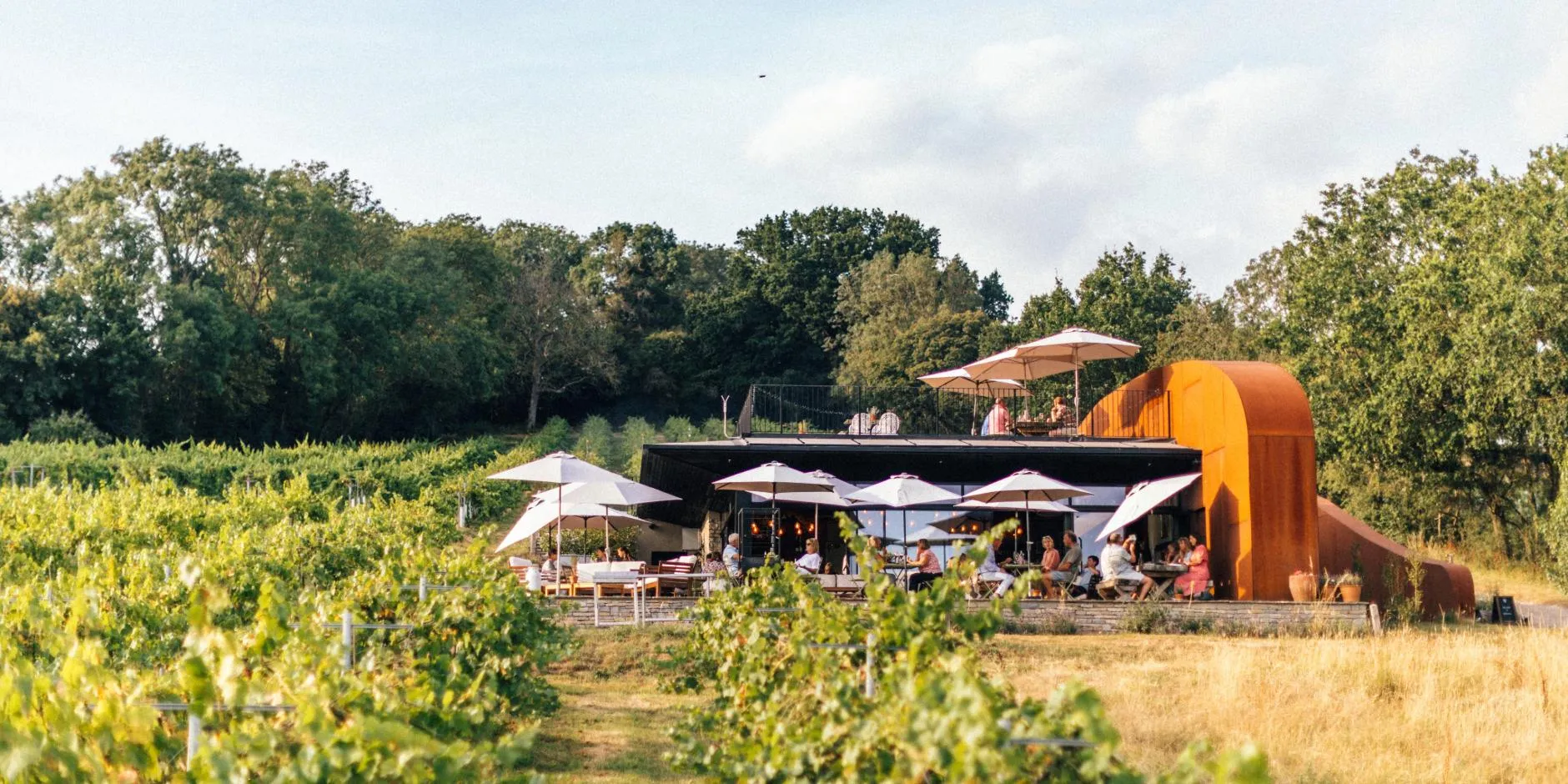 Copy of Wraxall Vineyard Harvest Festival Weekend: SUNDAY TICKET