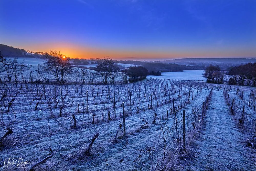 Christmas Cellar Door at Godstone Vineyards