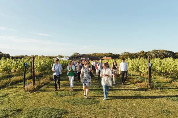 Chapel Down Wine Festival – A Vineyard Day in the Heart of Kent