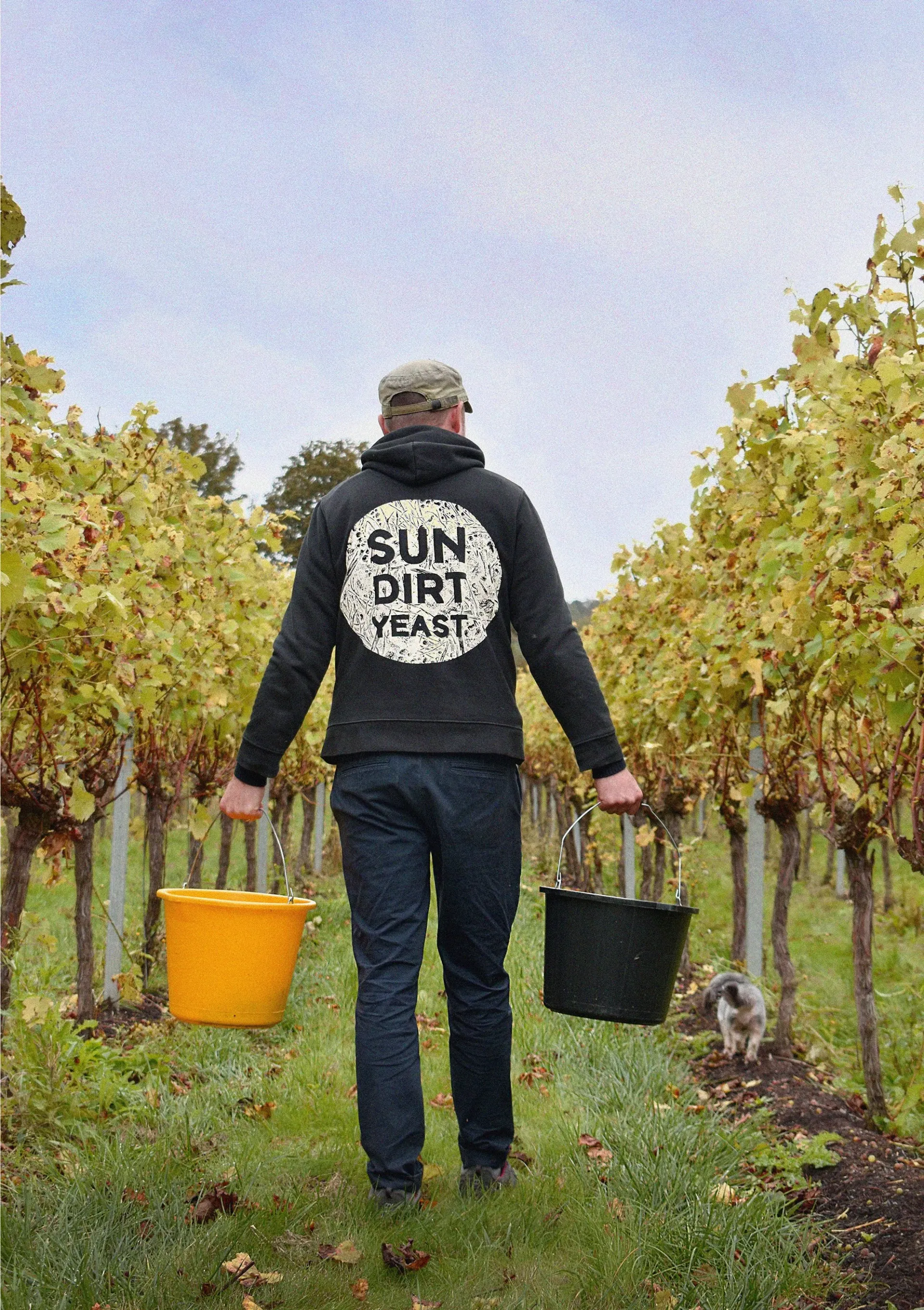 OFFVINE MARGATE