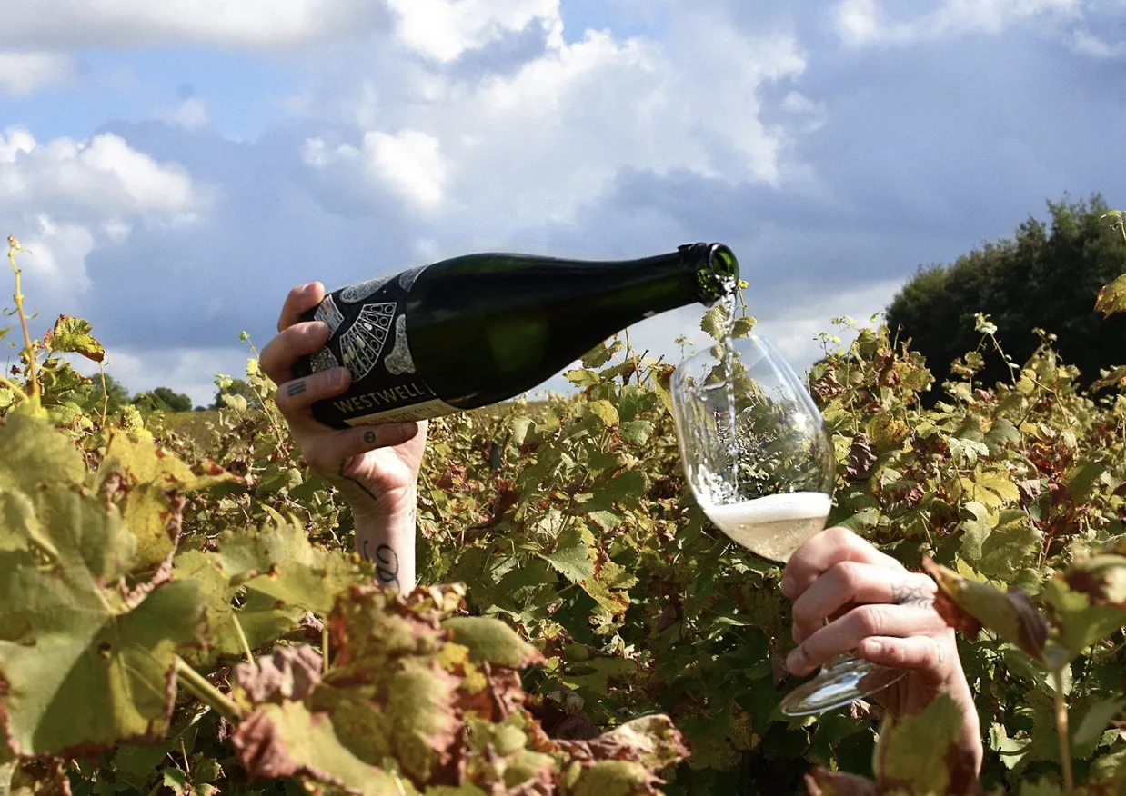English Sparkling Wine Tour