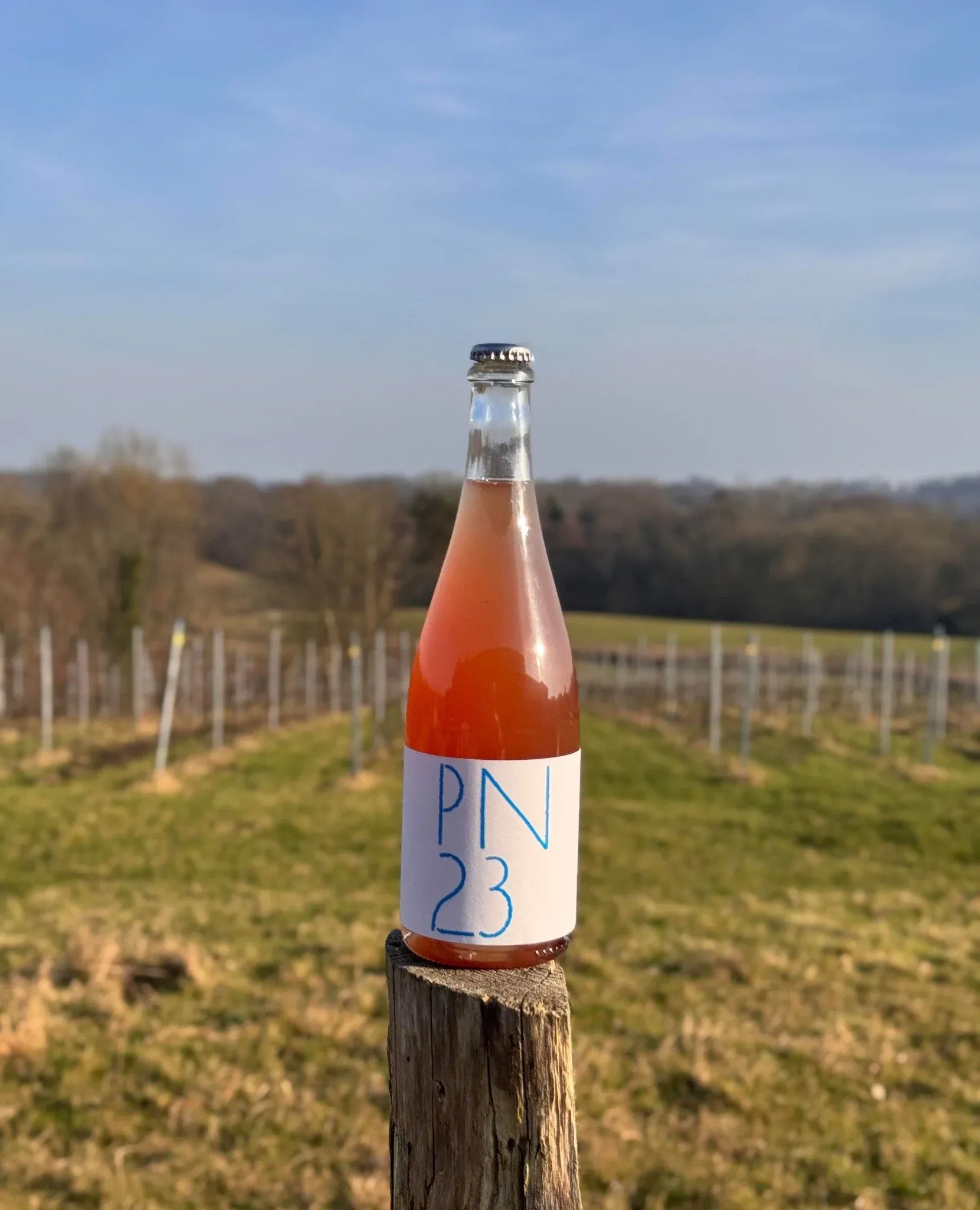 Natural Wine Tour