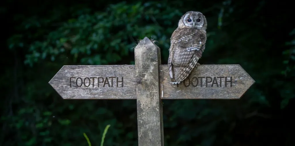 Dusk Nature Walk and Dinner with James Chubb