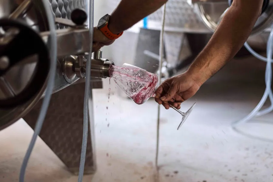 Tasting the Wines of Raul Moreno