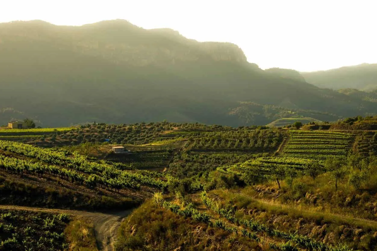 A Taste of Spain