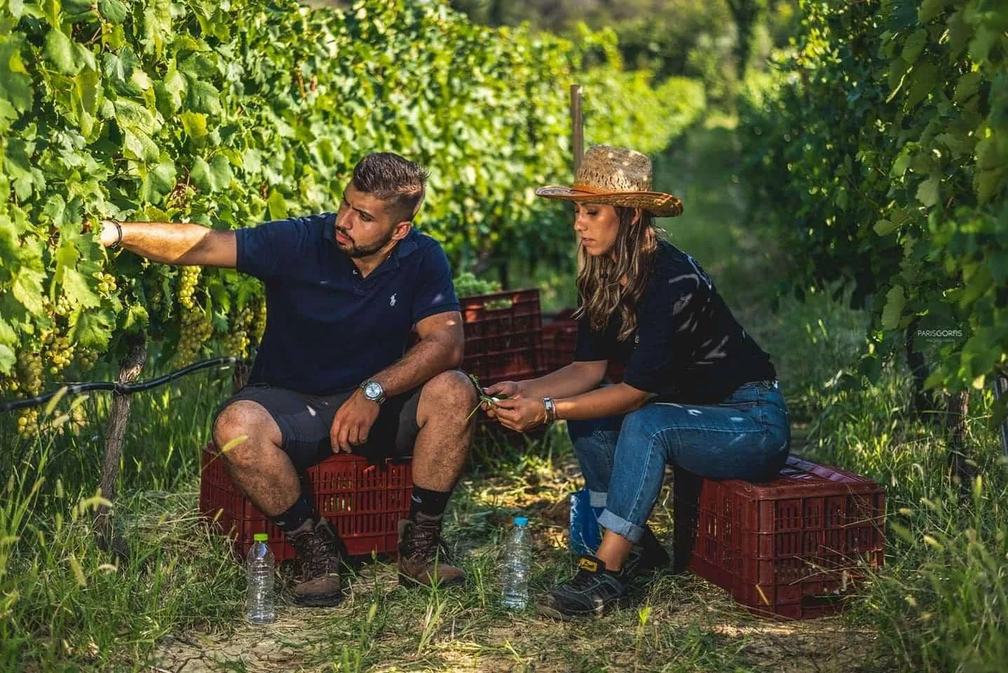GREECE UNCORKED: FINE WINE & MEDITERRANEAN PLATES
