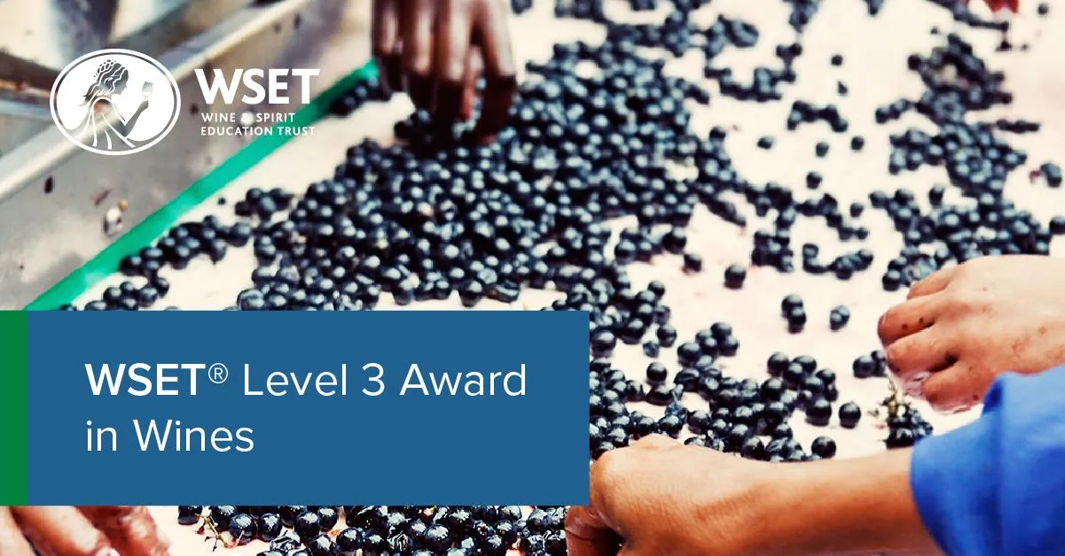 WSET Level 3 Award in Wines