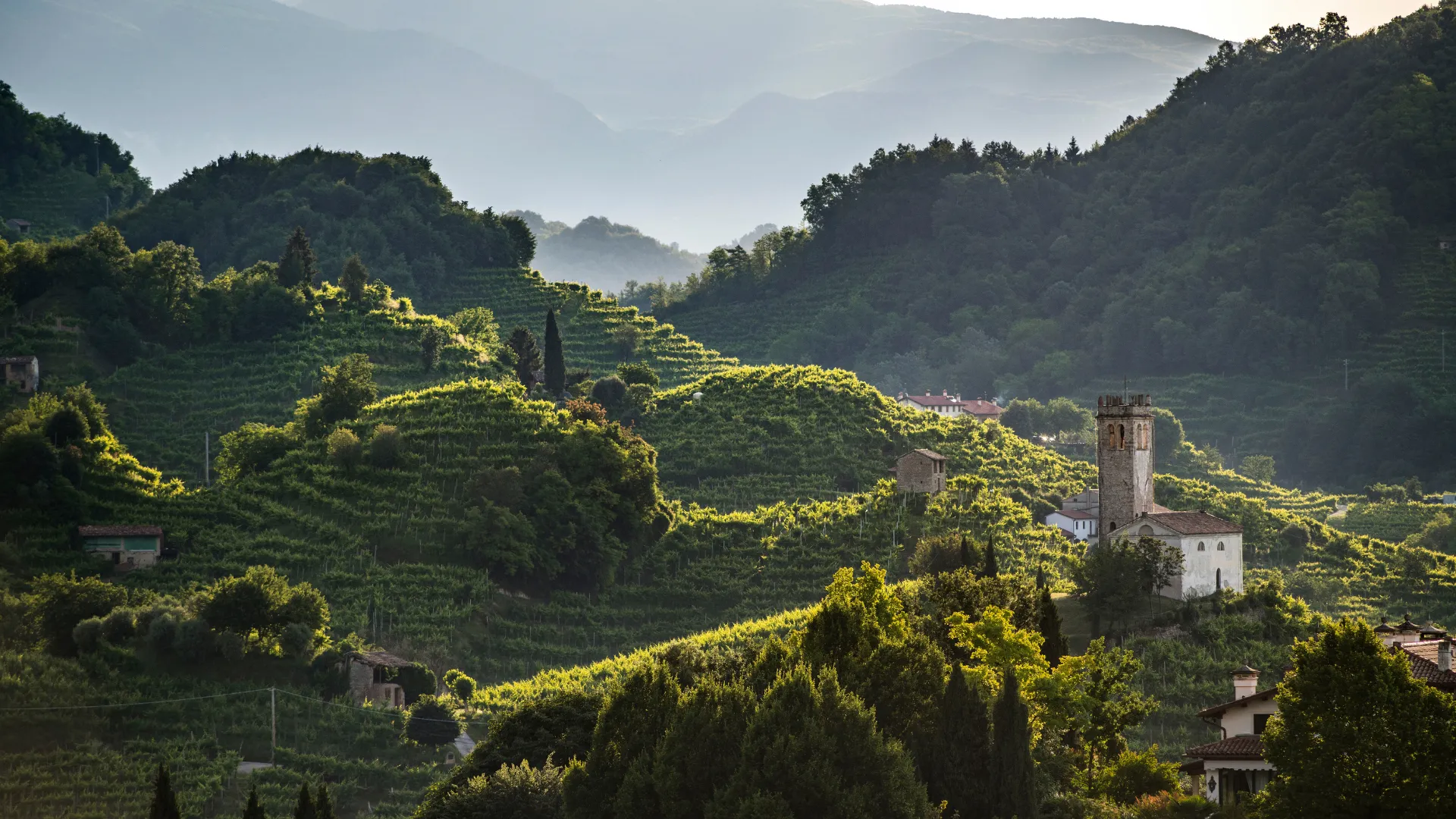 The taste of the soil: a technical workshop with Consorzio of Conegliano Valdobbiadene Prosecco DOCG – 15th September 2026