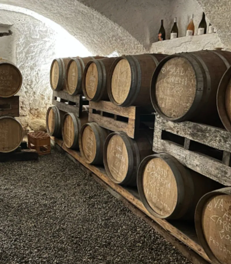 Terroir Wines - Wine Tasting