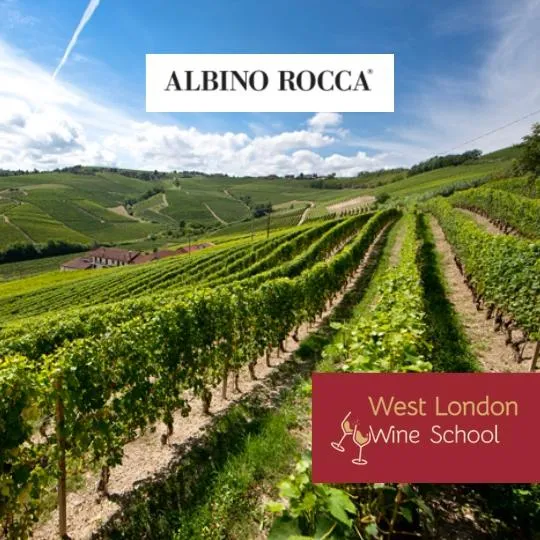Meet-The-Winemaker: Monica Rocca of Albino Rocca